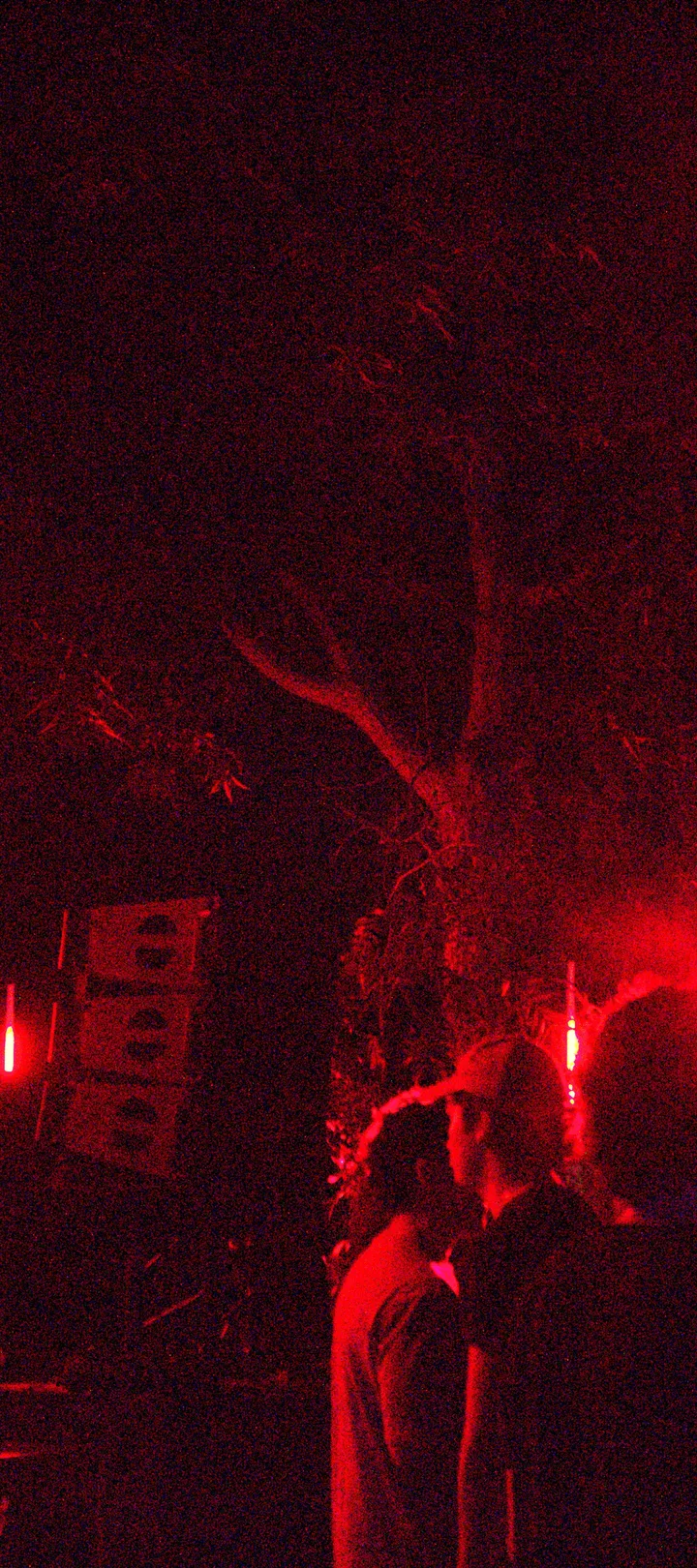 Público bajo luces rojas entre los árboles